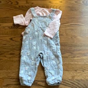 Gymboree Bunny Overalls